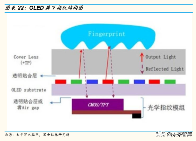 柔性屏专题报告：5G加速柔性OLED渗透