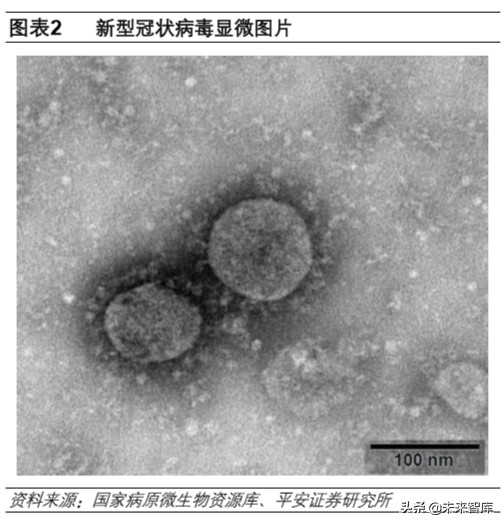 生物医药行业深度报告：抗击冠状病毒的先锋