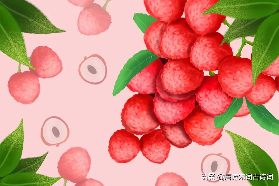荔枝什么时候成熟 荔枝成熟最佳时间
