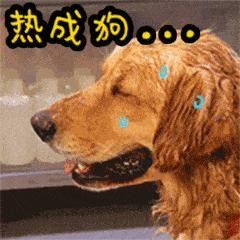 黄金海岸水上乐园 黄金海岸水上乐园在哪