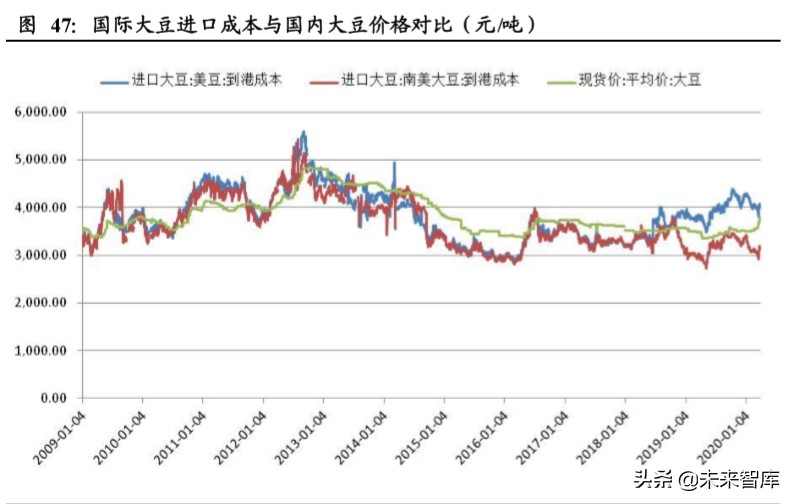 粮食供需分析及国内外种业发展对比专题报告