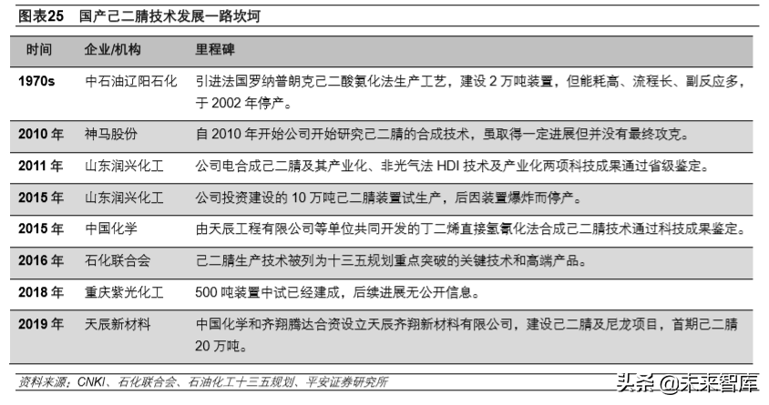 先进材料和高端化学品专题报告：己二腈和尼龙66