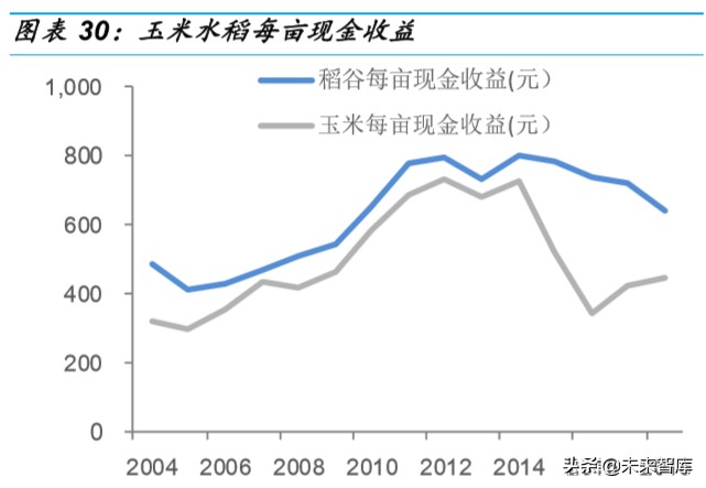 种业深度研究：乘转基因之风，国内种业加速整合发展