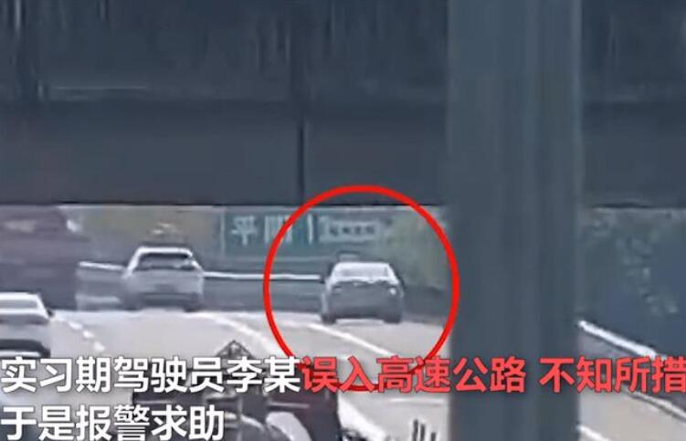 实习期上高速怎么处罚 