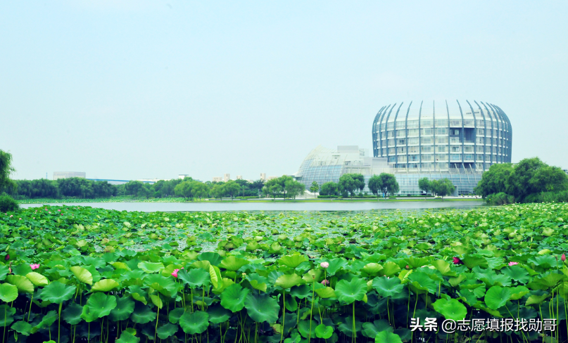 东华大学纺织学院这所大学