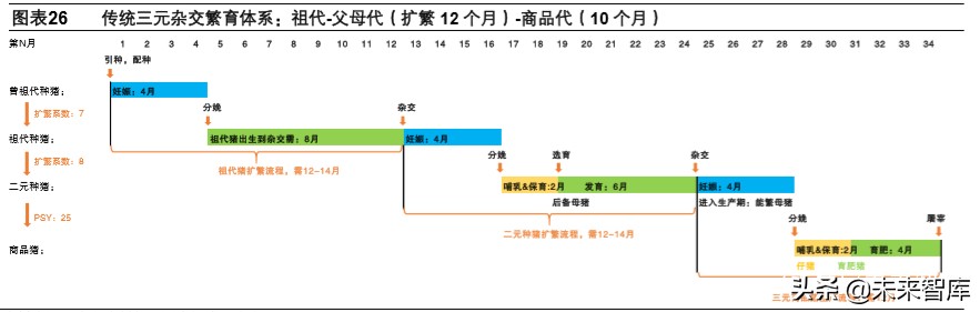 双疫情下中国生猪产业链专题报告