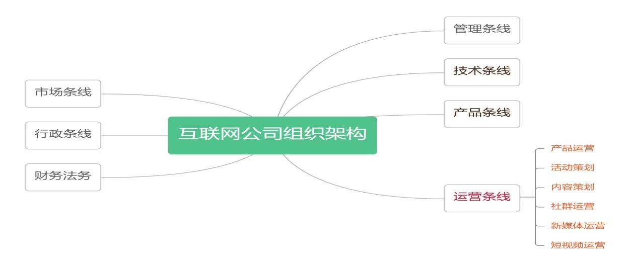 抖音代运营团队架构(2021年度互联网公司组织架构分析（全）)  第7张