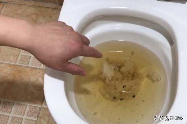 马桶堵了但还缓慢下水 马桶被大坨卫生纸堵死