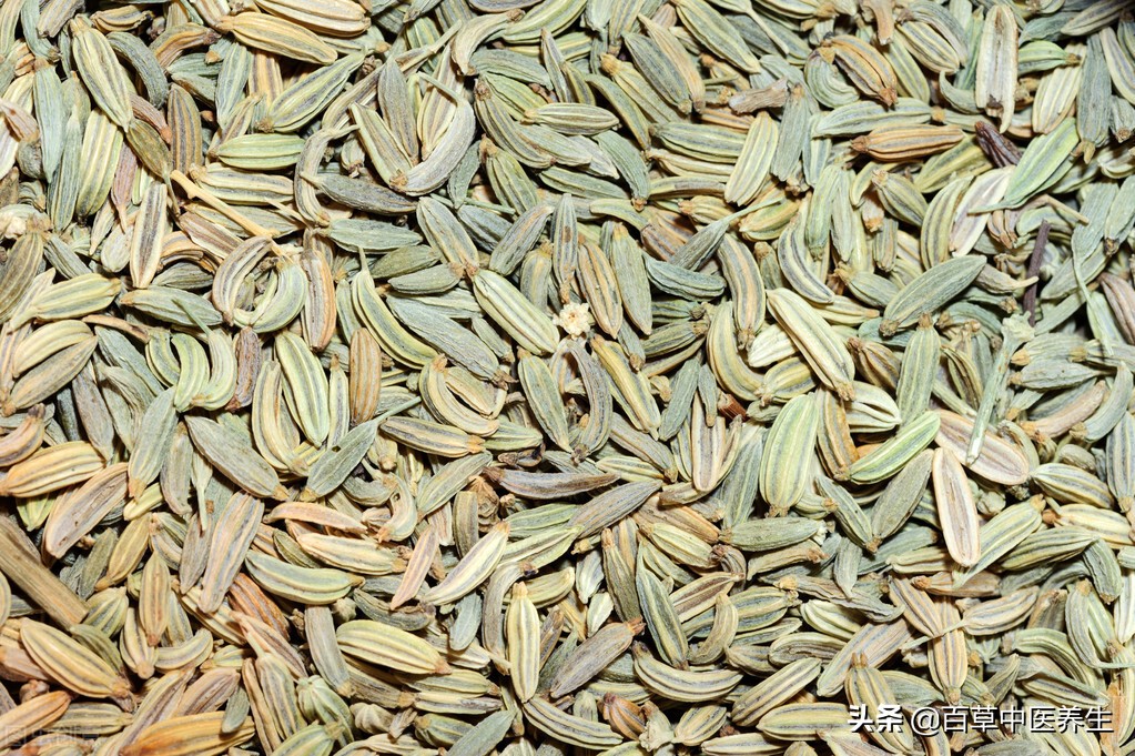 茴香的功效与作用 茴香和小茴香是一种东西吗