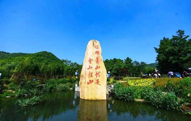 绿水青山就是金山银山 绿水青山的成功案例
