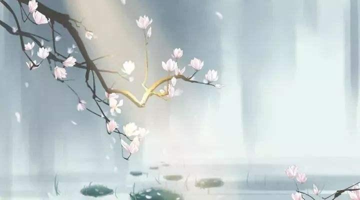 花开堪折直须折莫待无花空折枝 一半烟火一半清欢诗词