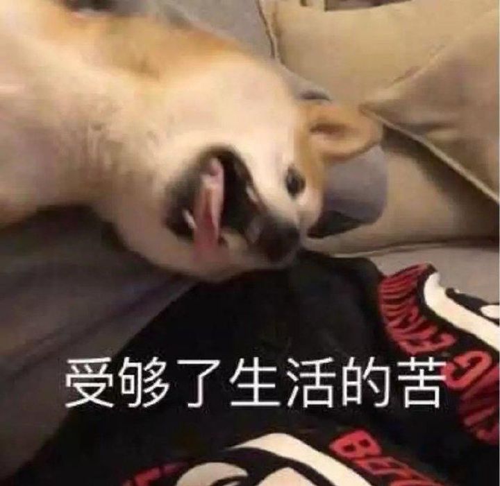 微信表情包 搞笑表情包500张图