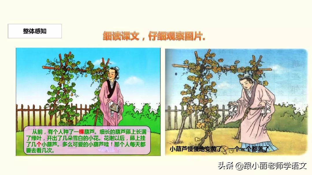 惊奇的反义词 惊奇的反义