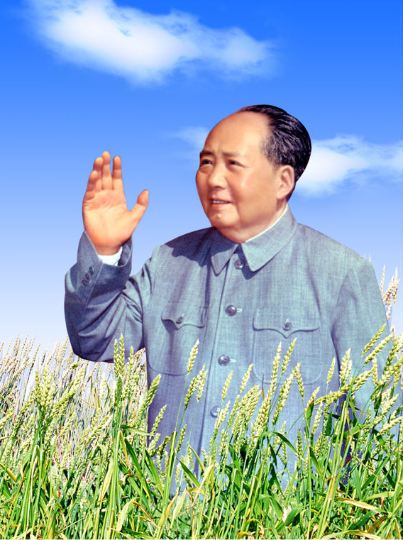 主观能动性 主观能动性三个特点