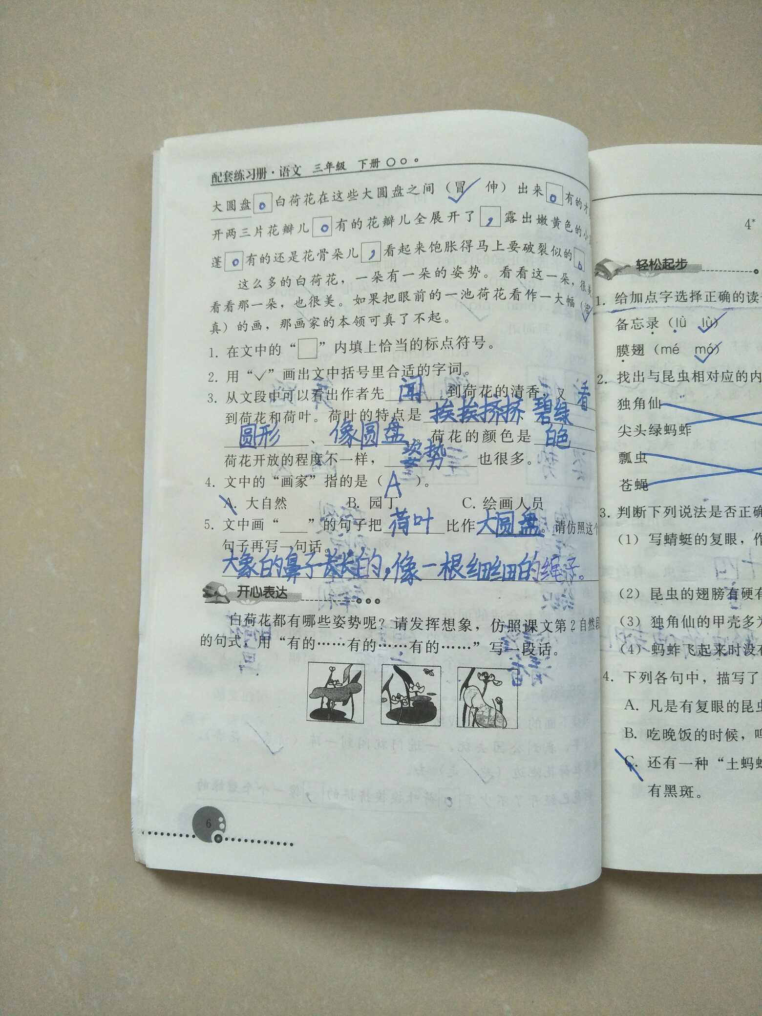 大象的鼻子像什么 大象的耳朵像什么