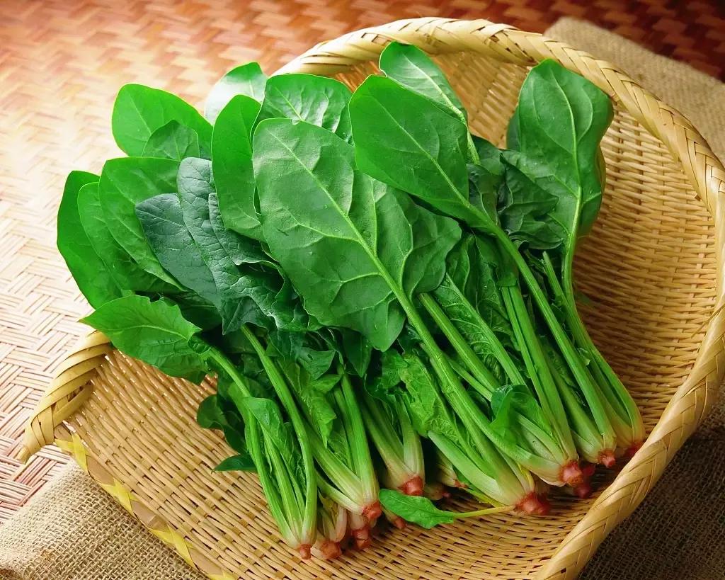 菠菜不能和什么一起吃 菠菜和什么食物相克