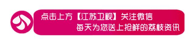 江苏卫视高清在线直播 江苏卫视直播节目