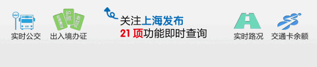 上海市人力资源和社会保障局 上海12333社保个人查询