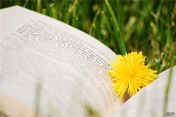 激励人心的句子 战斗激励人心的句子