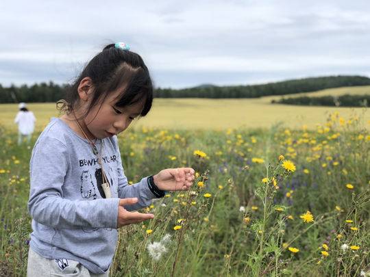九月九日忆山东兄弟的意思 忆山东兄弟古诗原文译文