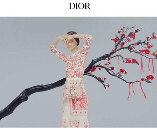 dior中国官网 香奈儿包包官网