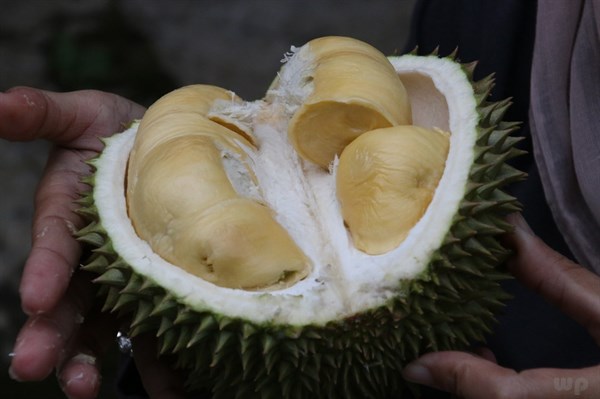 哈密瓜的功效与作用 草莓的功效与作用