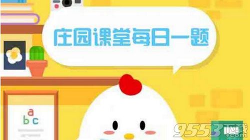 猫为什么要吃老鼠 猫吃老鼠后人还能碰吗