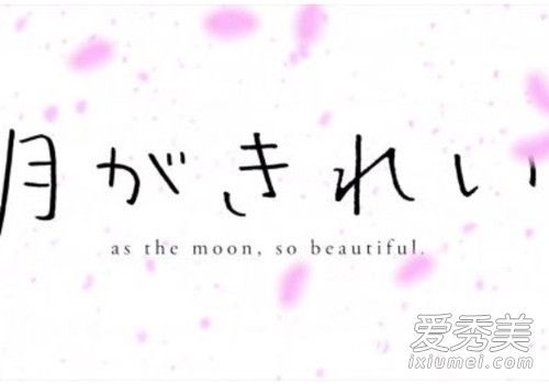 今晚月色真美 今晚月色真美拒绝回答