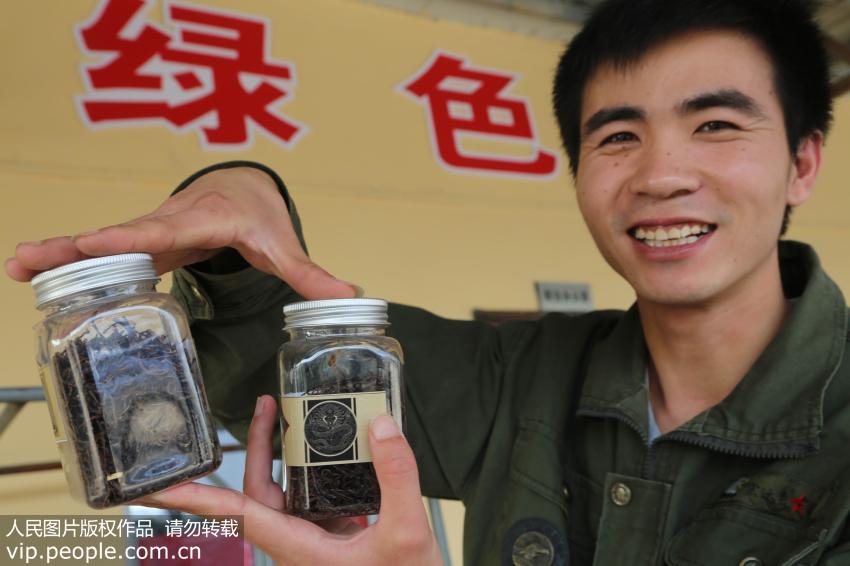 全蝎的功效与作用 陈皮的功效与作用