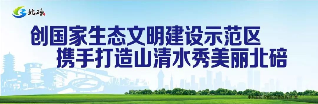 北碚人力资源和社会保障局 北碚事业单位招聘入口