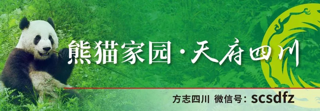 大熊猫生活在哪里 熊猫生活在哪个地方