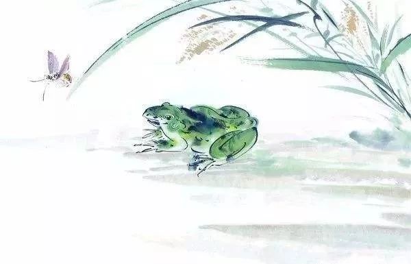 听取蛙声一片 