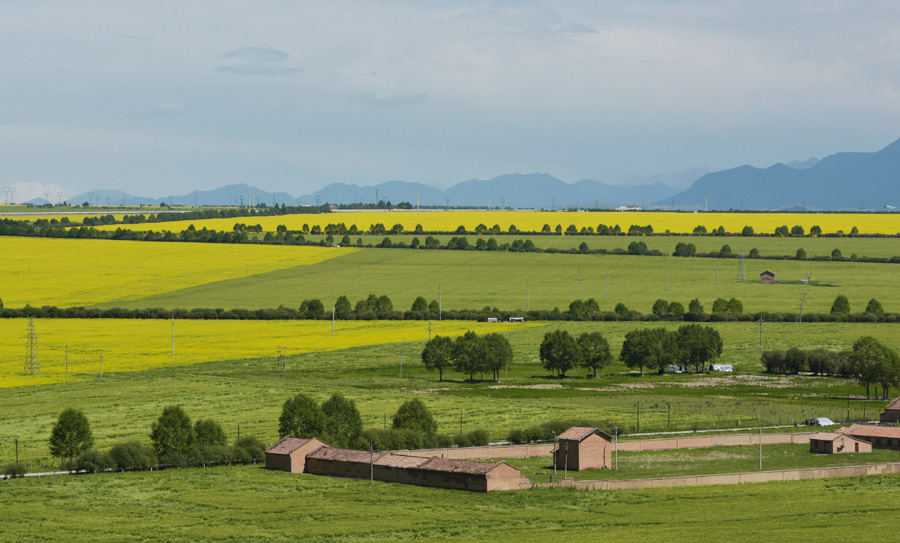 camera是什么意思 camera是什么意思中文翻译