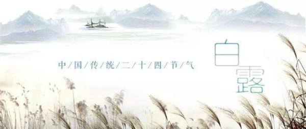 露从今夜白的下一句 路从今夜白的下一句是