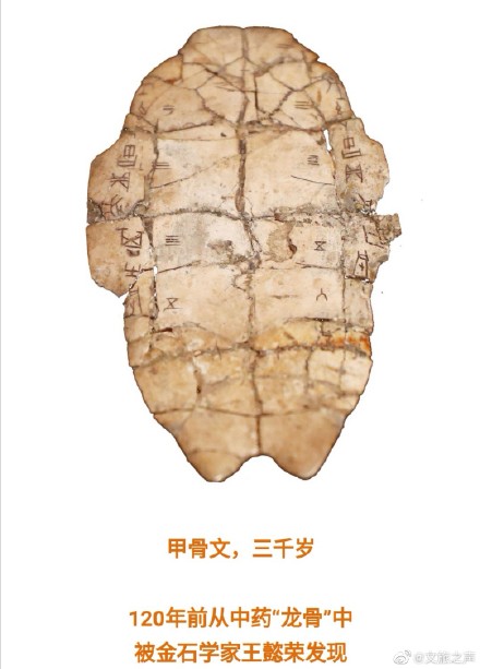 甲骨文的发现 甲骨文的发现简写30字