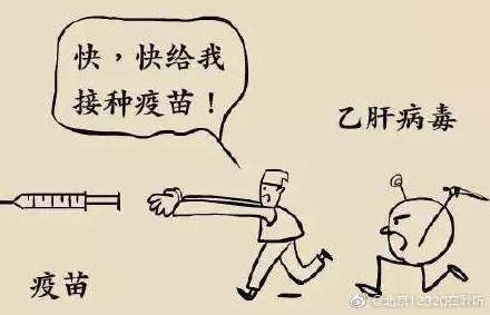 乙肝疫苗接种时间 成人乙肝疫苗多少钱