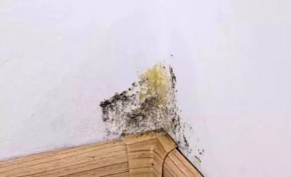 漂白粉的漂白原理 漂白粉用于消毒的原理