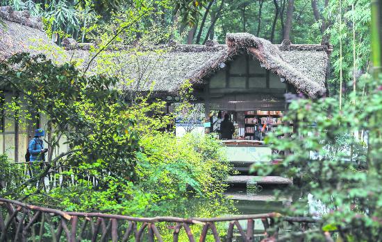 春色满园关不住的下一句 春风满园管不住徐妍