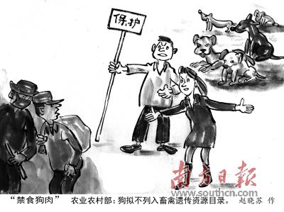狗肉不能和什么一起吃 吃狗肉的三大禁忌