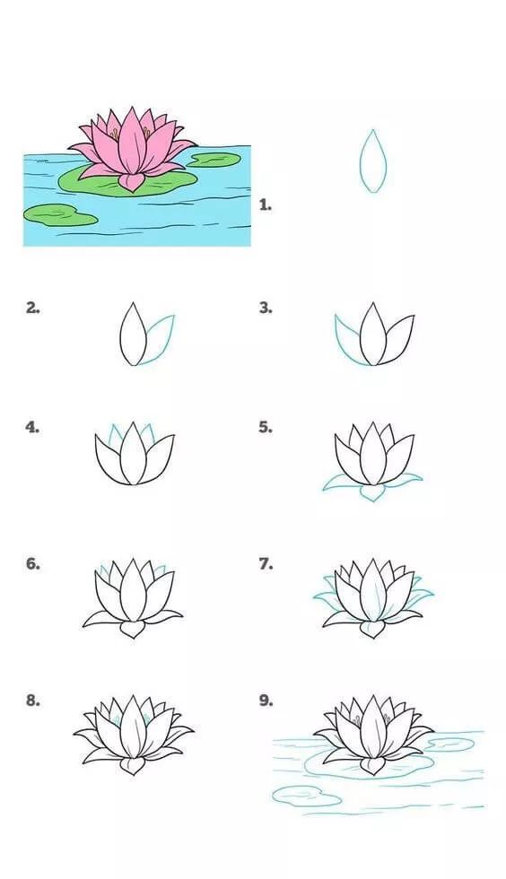 花简笔画图片大全 100个简单花朵画