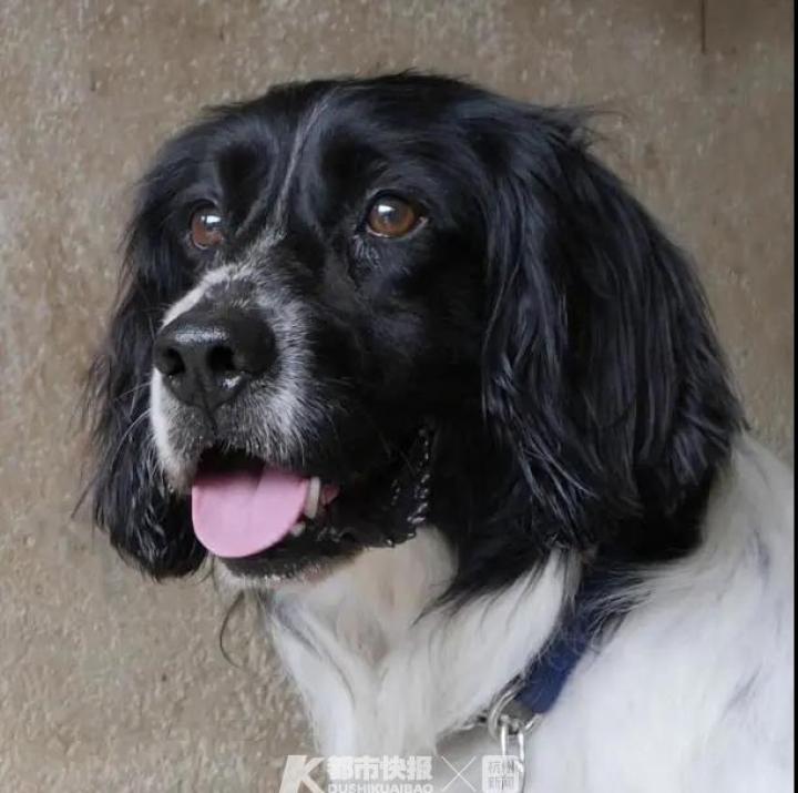 bingo是什么意思 bingo是什么意思中文