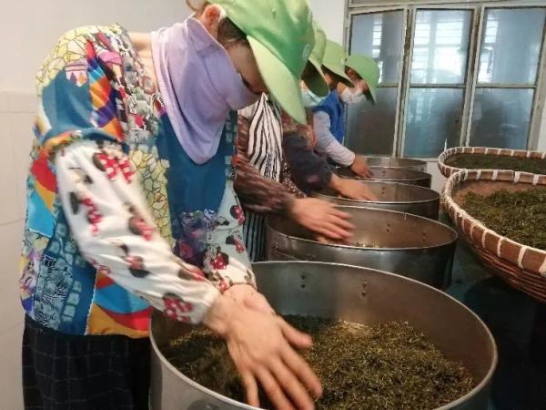 茶多酚的功效与作用 茶多酚有多可怕