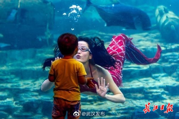 武汉东湖海洋世界 武汉东湖海洋世界图片