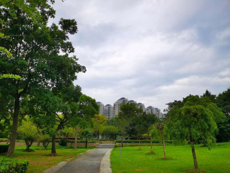 上海市松江区天气 松江天气24小时明细