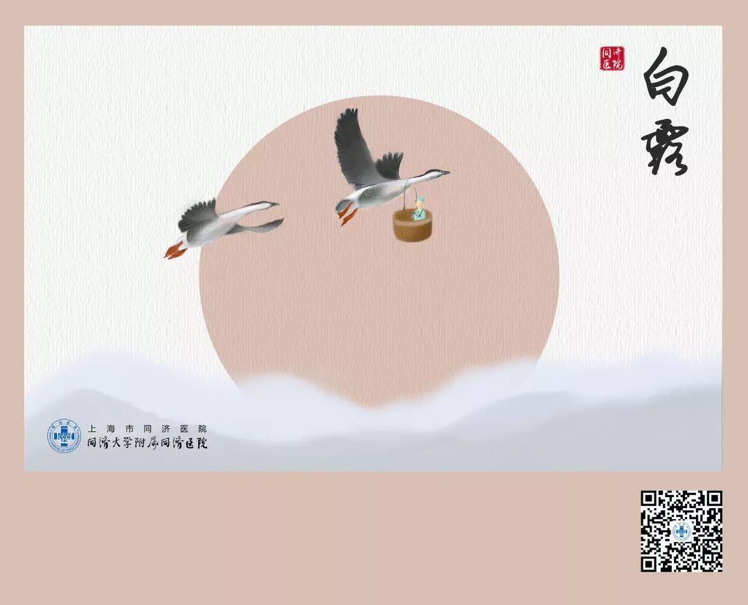 蒹葭苍苍白露为霜 《蒹葭》原文朗读