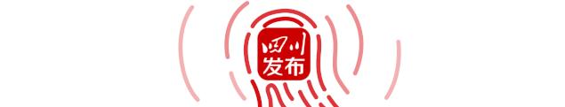 绵阳职业技术学院教务处 学工平台