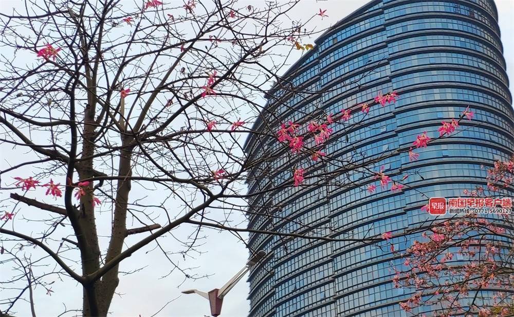 南宁一周天气预报 南宁一周天气预报10天