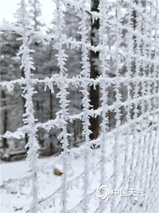 玉龙雪山天气 玉龙雪山怎么上去