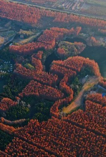 东平国家森林公园 大奇山国家森林公园