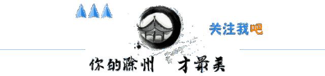 滁州人力资源和社会保障局 滁州市人力资源网